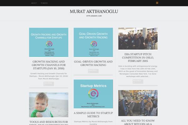 Triton Lite theme site design template sample