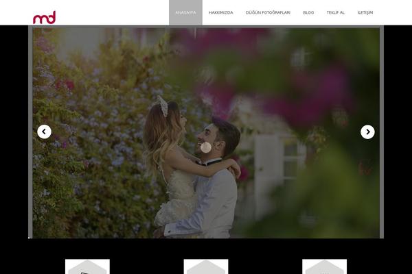 Fluxus theme site design template sample