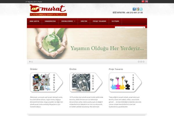 Site using Language Bar Flags plugin