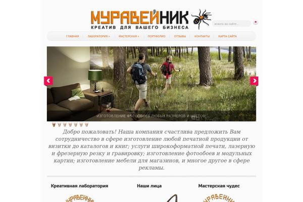 Simple’n’Bright theme site design template sample