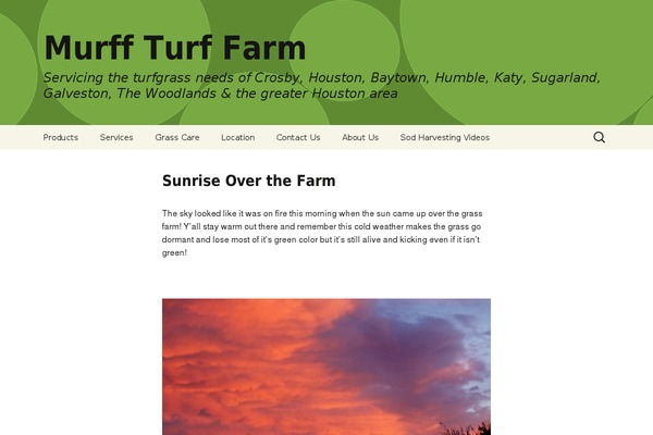 Square theme site design template sample