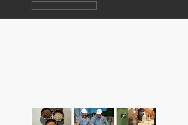 Salient Child theme site design template sample