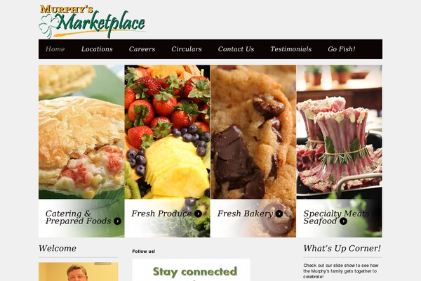 Murphy theme site design template sample