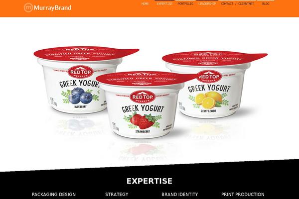 Parasponsive theme site design template sample