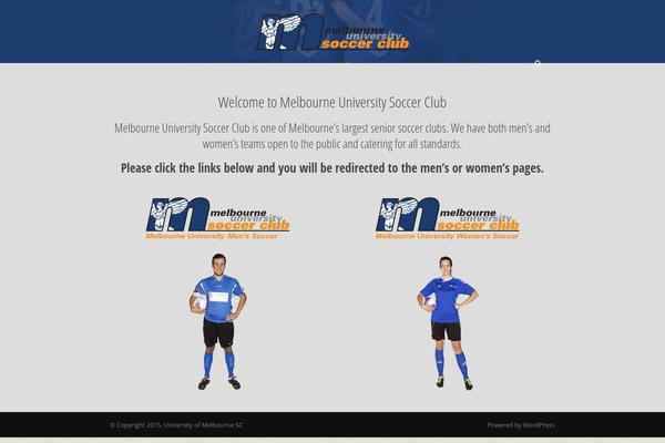 Site using Goodlayers-soccer plugin