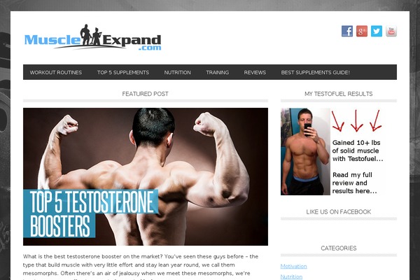 Metro Pro theme site design template sample