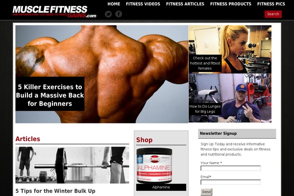 ProfitMag theme site design template sample