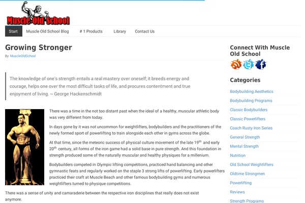 sleekyclean theme websites examples