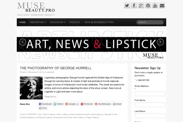 CyberChimps theme site design template sample