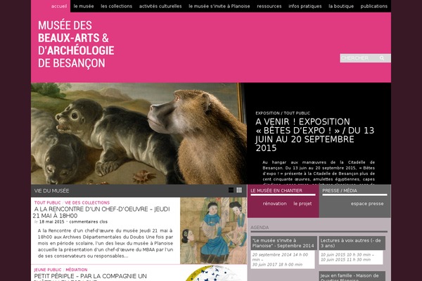 musee-arts-besancon.org site used Sight