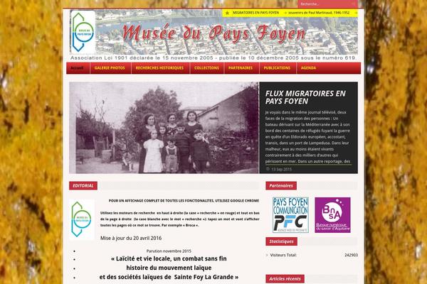 Megazine v1.06 theme site design template sample