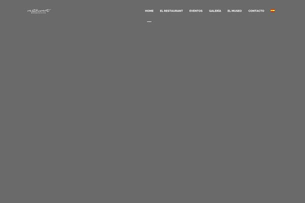 Site using Wp-review-slider-pro-premium plugin