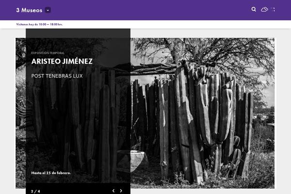 Site using Search Everything plugin