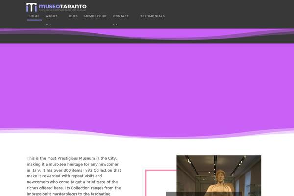 museotaranto.org site used Business-insights