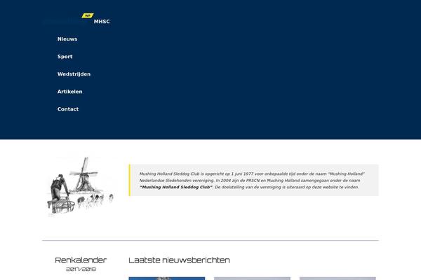 Consulting theme site design template sample