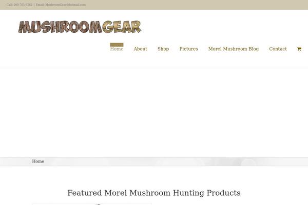 Site using Payment-gateway-stripe-and-woocommerce-integration plugin