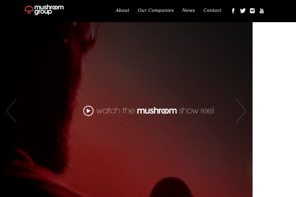 Site using Wp-data-access plugin