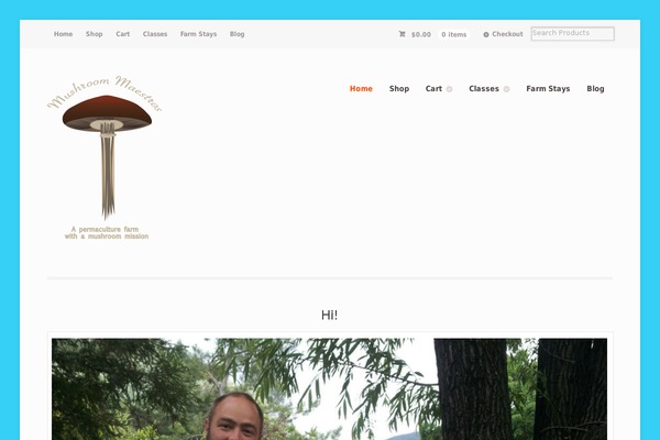 Mystile theme site design template sample