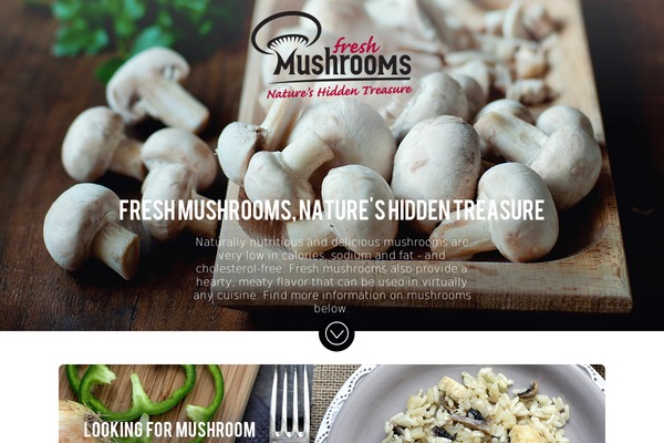 Porcelain theme site design template sample
