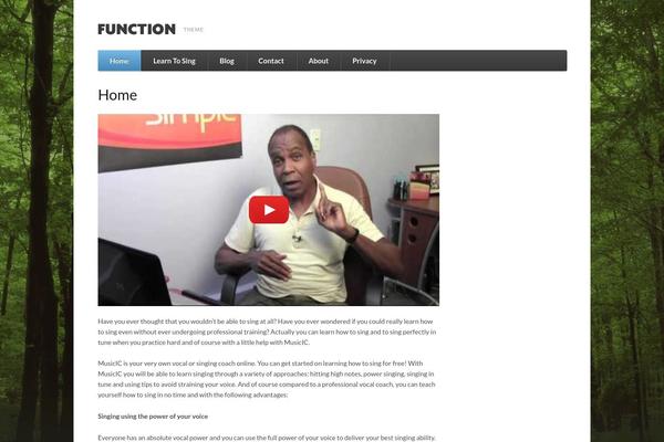 Function theme site design template sample