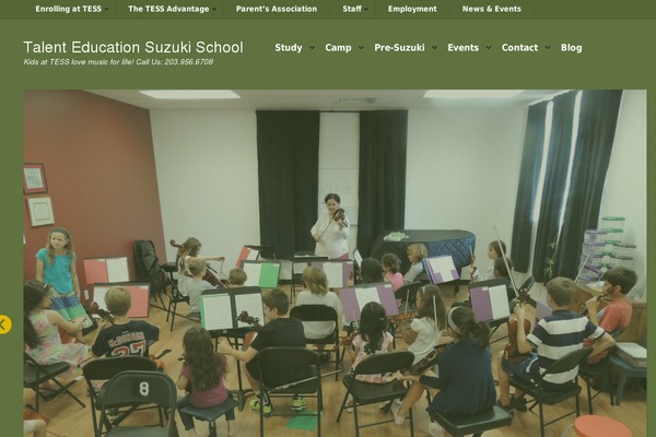 musicattess.com site used Tess