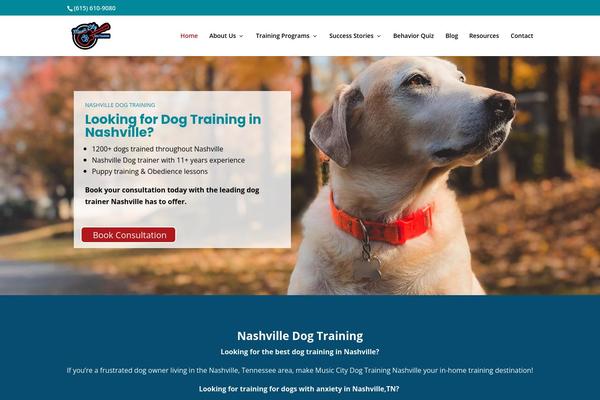 Divi theme site design template sample
