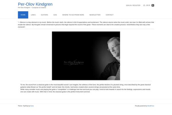 TopShop theme site design template sample
