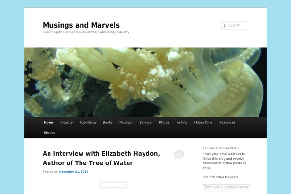 Site using Mybooks-for-authors plugin