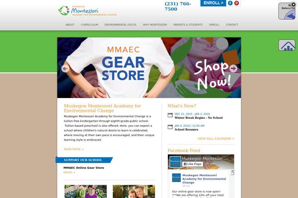 Academy theme site design template sample