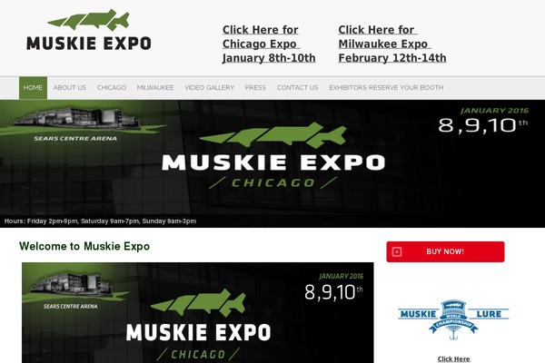 Site using FBF Facebook page Feed Widget plugin