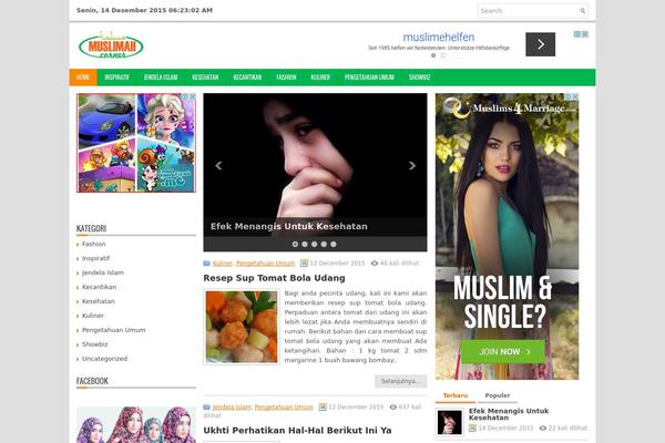 andinews WordPress theme, websites list used andinews theme andinews theme websites examples