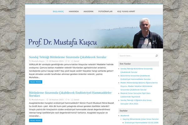 WinterDream theme site design template sample