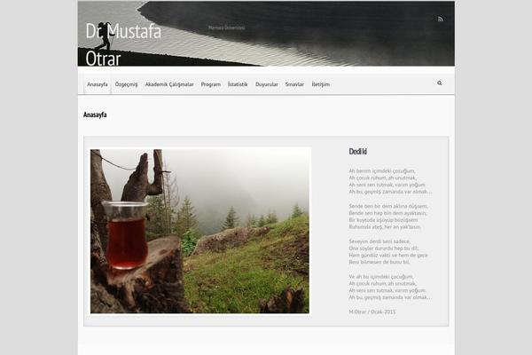 evolve theme site design template sample