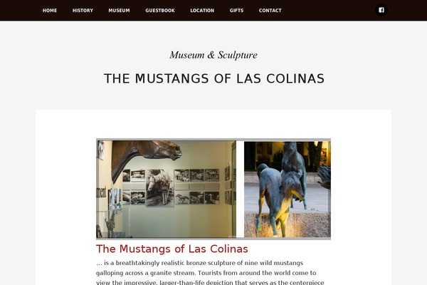 mustangsoflascolinas.com site used Museum