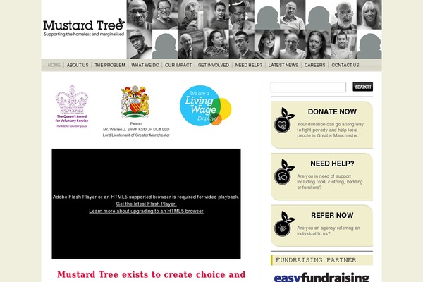 Camyno theme site design template sample
