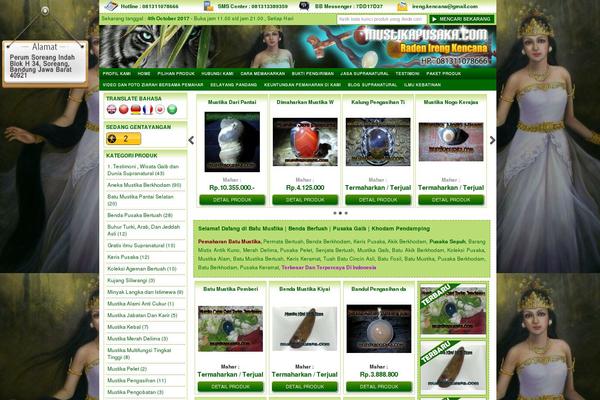 Site using All in One SEO Pack plugin