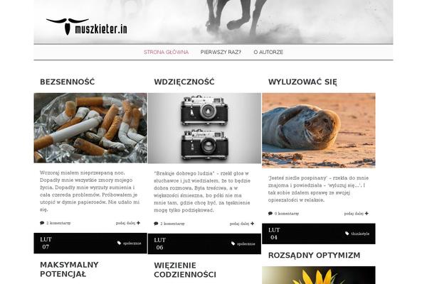 Site using Ct-shortcodes plugin