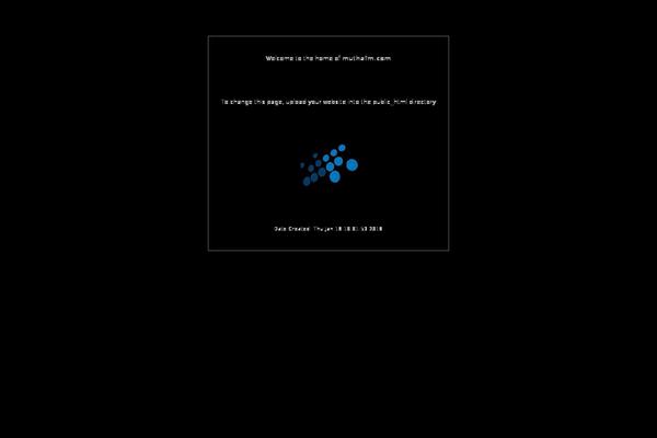 Site using Simple Music Widget plugin