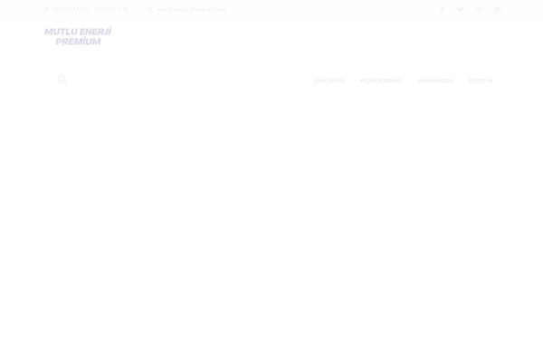 Site using Depicter plugin