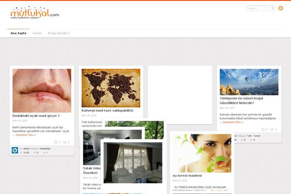 Site using SEO Facebook Comment plugin