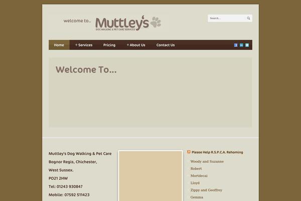 Blue Diamond v1.05 theme site design template sample