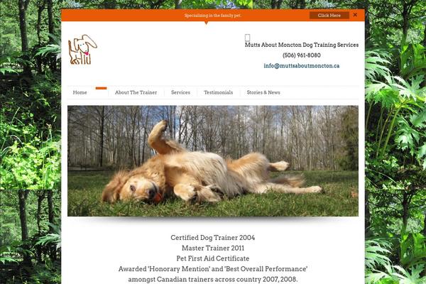 InfoWay theme site design template sample