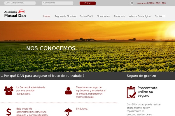 Roots theme site design template sample