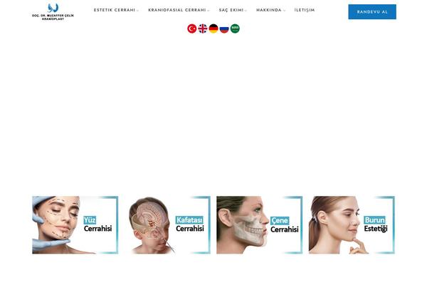 Site using Radiantthemes-addons plugin