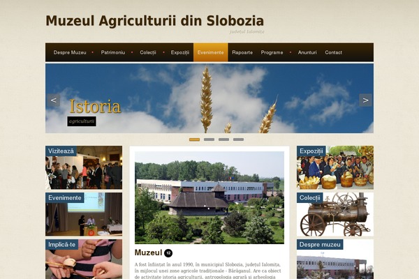 Site using Museumwp-toolkit plugin