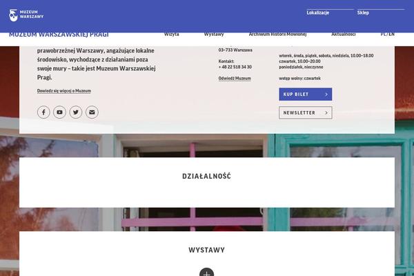 Site using Custom-mediaelement plugin