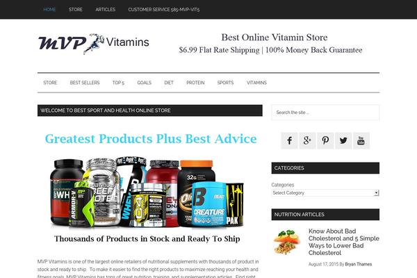 Magazine Pro theme site design template sample