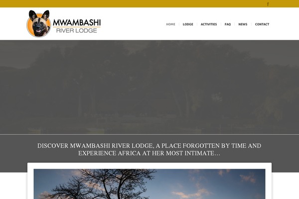 Incarnation theme site design template sample