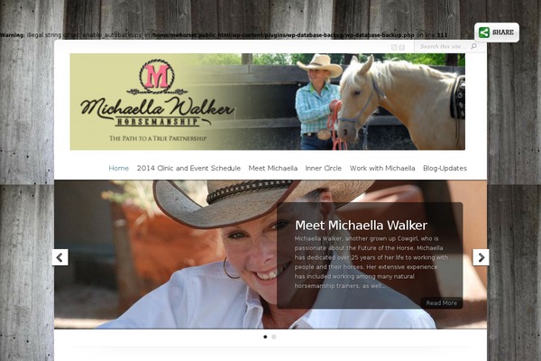 Site using Commentluv-premium plugin