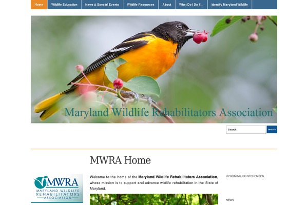 Academica theme site design template sample